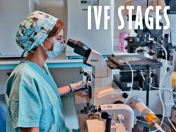 embryologist during ivf procedure in the lab