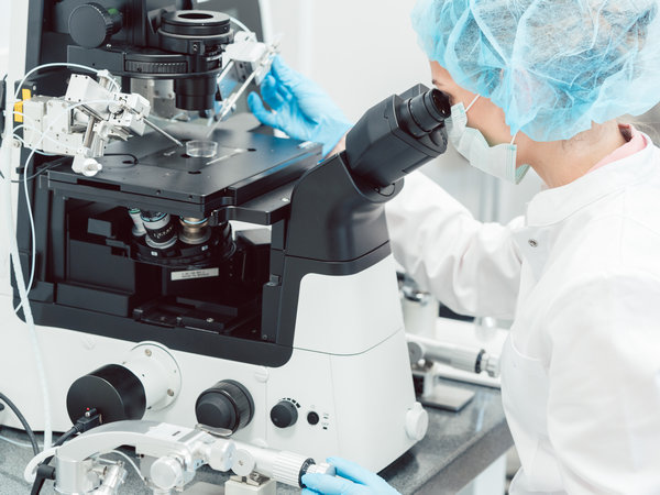 embryologist working in the lab