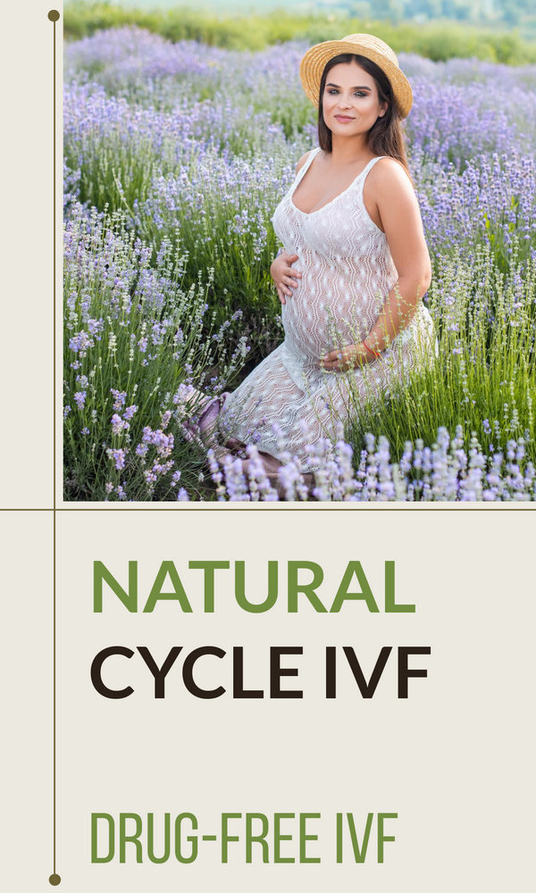 natural cycle drug-free ivf