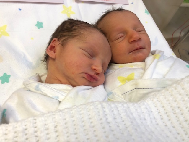 twin baby girls artemis and minerva