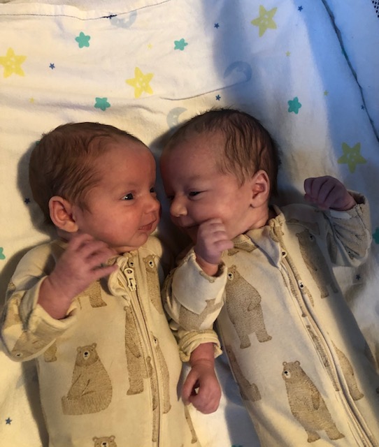 ivf twins