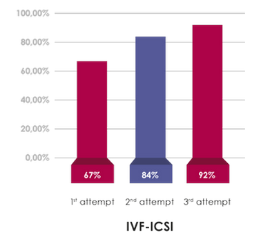 diagramma di percentuale di successo per la fivet con icsi