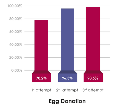 success rates of IVF with borrowed eggs