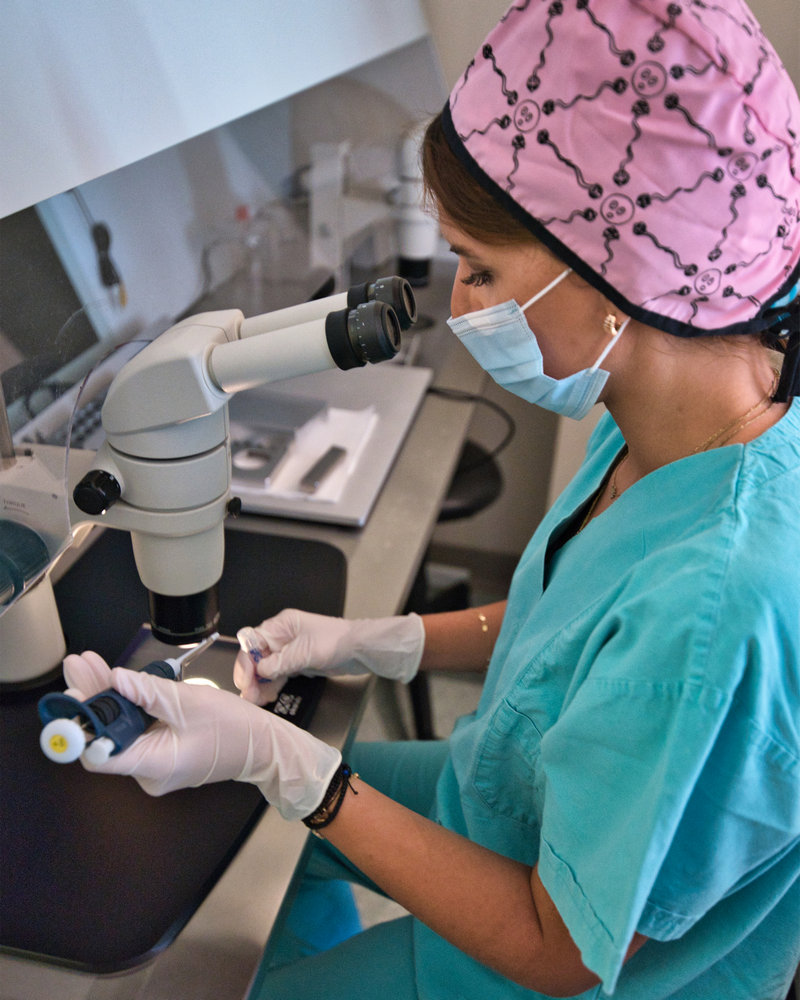 embryologist in the embio lab