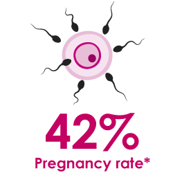 percentuali di successo dell'inseminazione artificiale