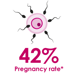 normat e suksesit të inseminimit artificial