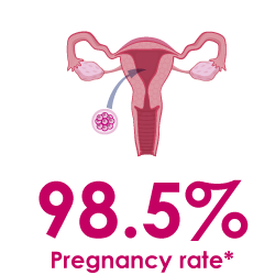 success rates with egg donation in embio greece