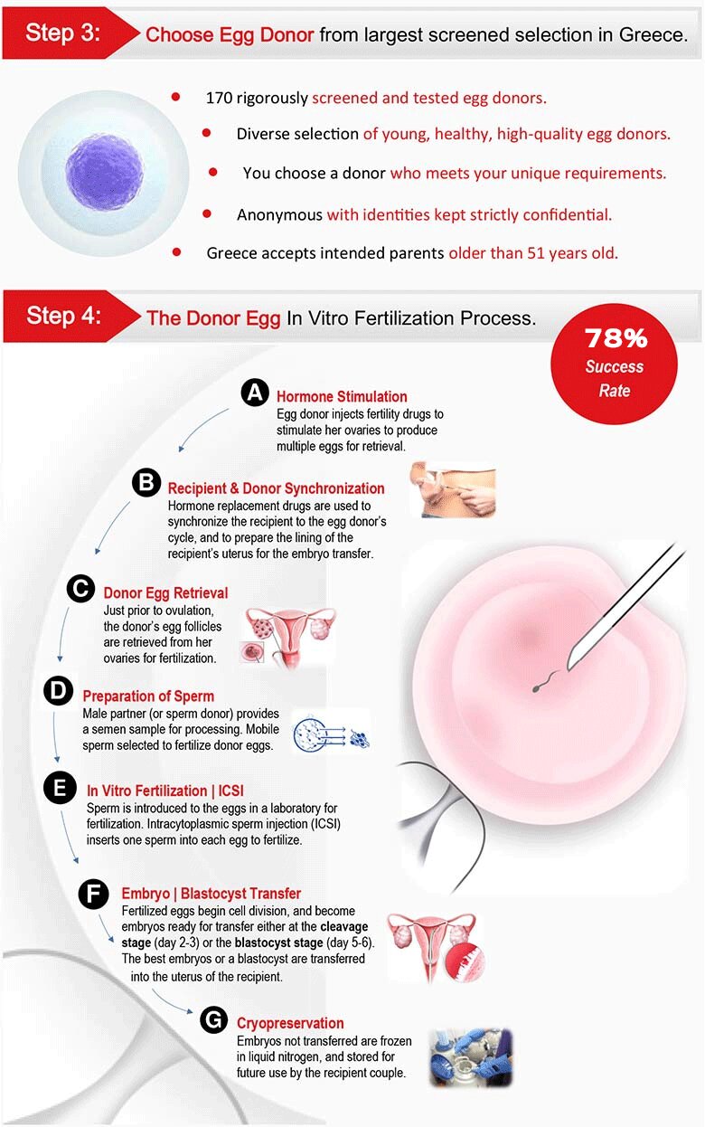 Infografik ivf med äggdonation del 2