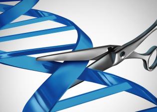 Ερευνητές αφαίρεσαν με επιτυχία μεταλλαγμένο γονίδιο από πρώιμα έμβρυα 