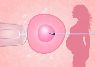 health risks from ivf