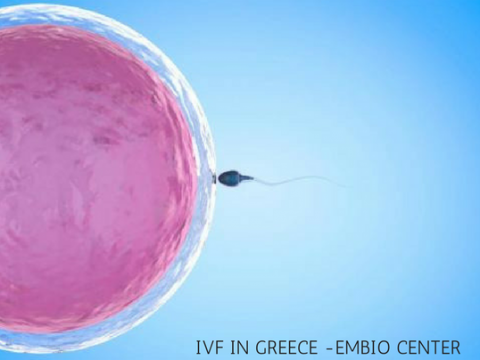 IVF treatment abroad - Why choose Greece!